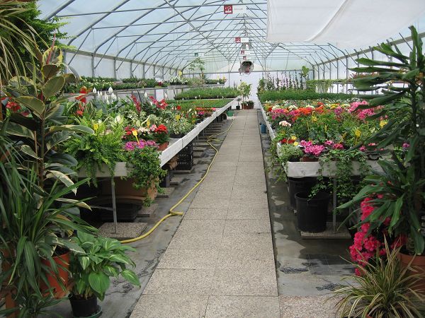 Agriturismo LAcero Rosso - foto 13461.jpg