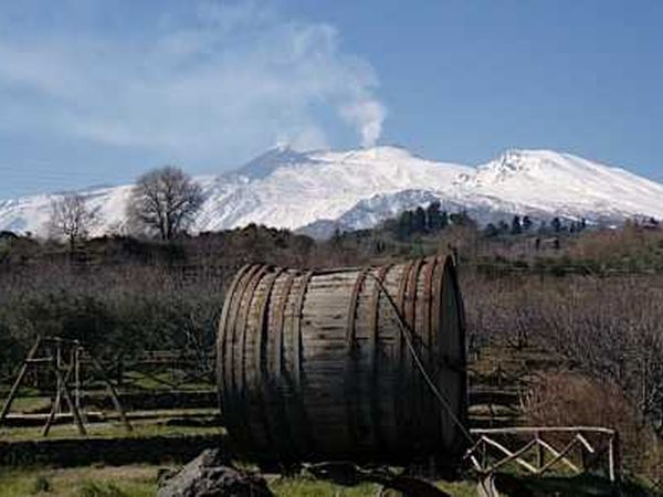 Case Perrotta - foto 13518.jpg