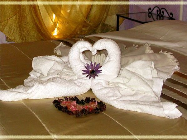 Agriturismo Al Torcol - foto 13567.jpg