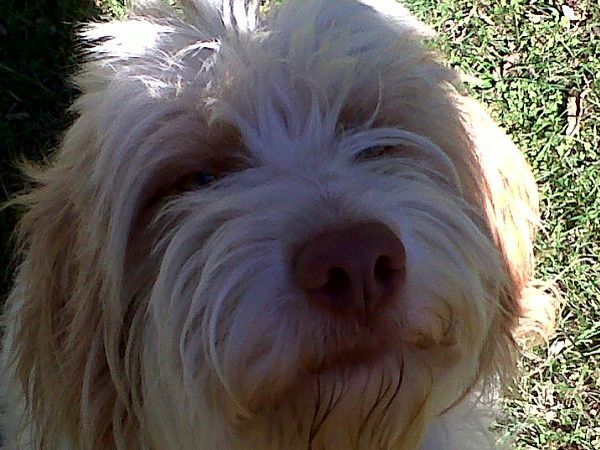 Agriturismo La Montanara - foto 13600.jpg