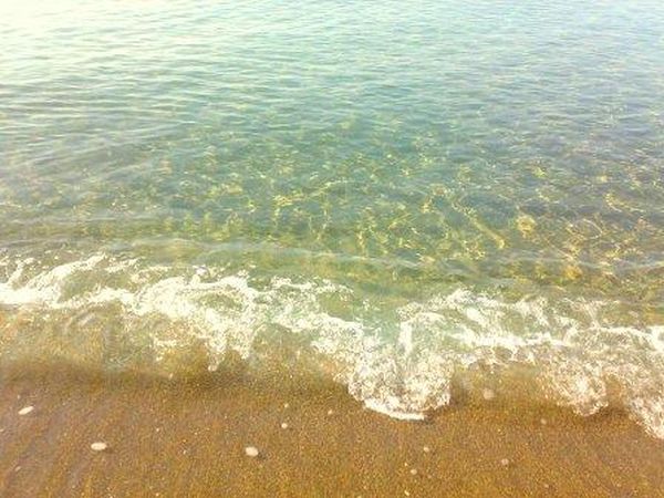 Camping Eden - foto 13658.jpg