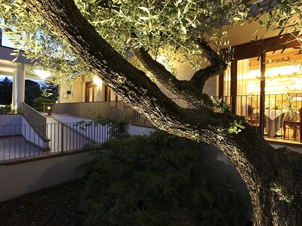 Hotel Belvedere - foto 13664.jpg