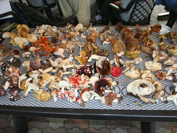 Hotel Sport - foto 13850.jpg