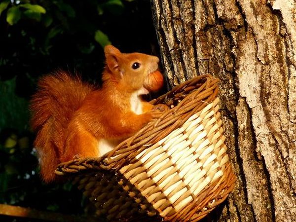 Hotel Sport - foto 13853.jpg