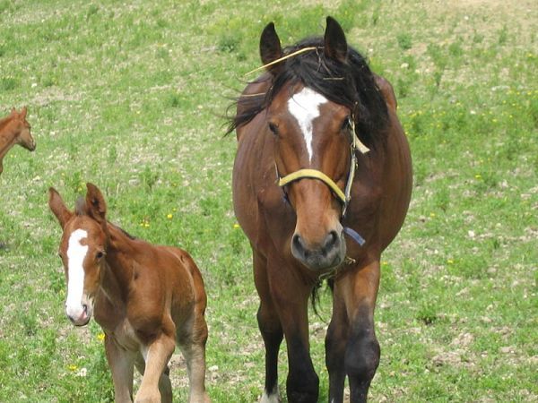 Villa Tasca - foto 14027.jpg