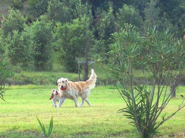 Agriturismo Lupo Vecchio - foto 14119.jpg
