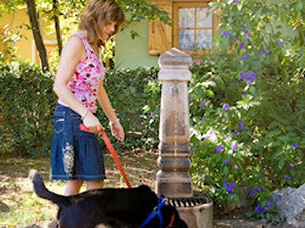 Caravelle Camping Village - foto 14165.jpg