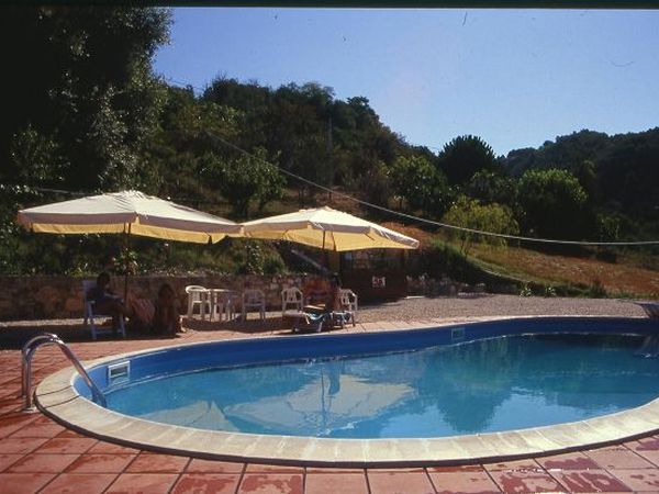 Aziende Agrituristica Fargani - foto 3119.jpg