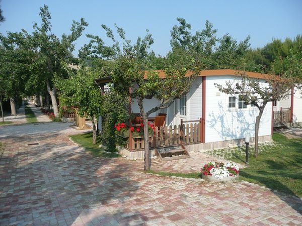 Pineto Beach Village & Camping - foto 14284.jpg