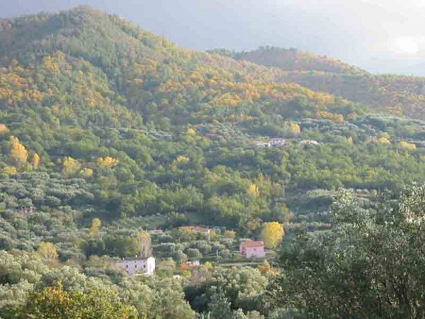 Agriturismo Il Ruscello - foto 3158.jpg