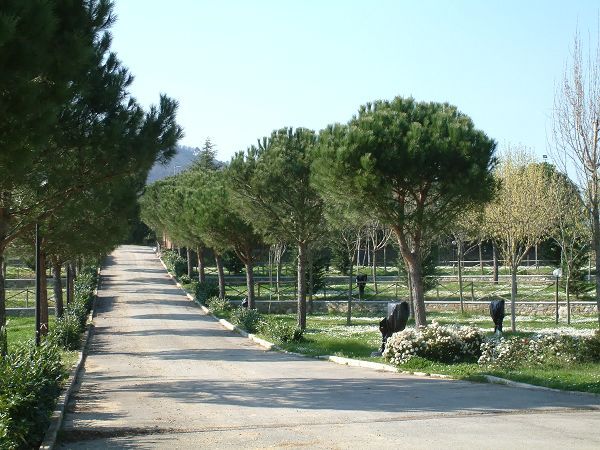 Il Poggetto - foto 14411.jpg