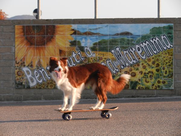 Casa in Maremma Tuscany Village - foto 14449.jpg
