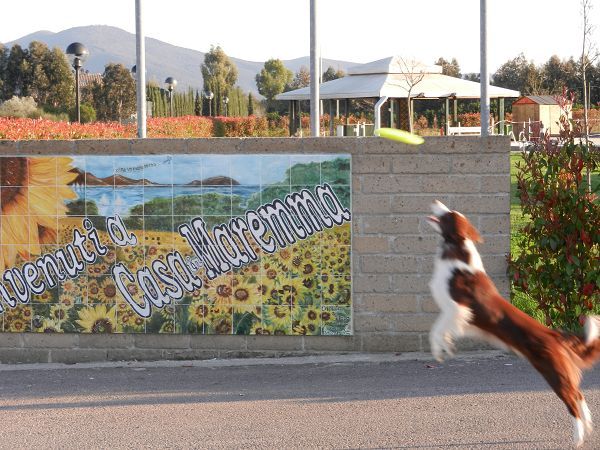 Casa in Maremma Tuscany Village - foto 14450.jpg