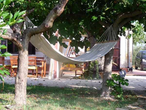 Zasa Vivere la campagna - foto 3204.jpg