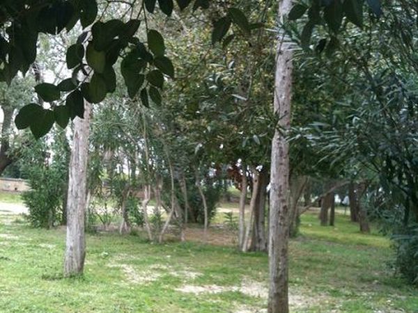 Idrusa Camping - foto 14610.jpg