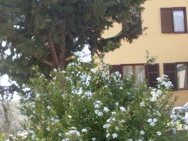 Podere Il Poggiolo - foto 14670.jpg