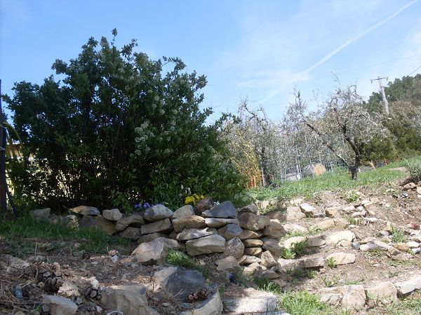 Podere Il Poggiolo - foto 14671.jpg