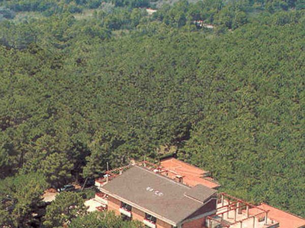 Hotel Grifone - foto 14874.jpg