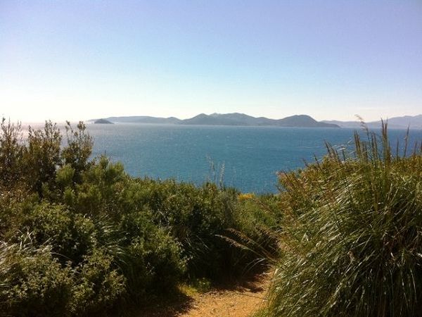 Casa Vacanze Ribocchi - foto 15124.jpg