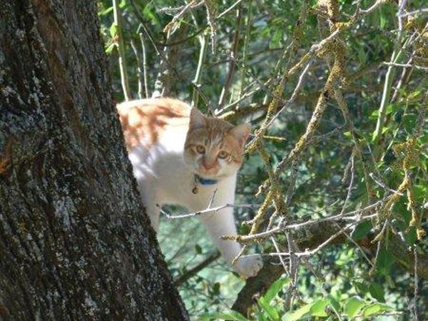 La Rocca di Mantignana - foto 15582.jpg