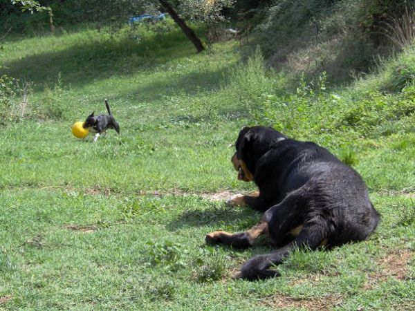 Agriturismo Casa del Monte - foto 3544.jpg