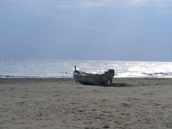 Hotel Badano Sul Mare  - foto 15761.jpg