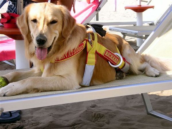 Bagno Overbeach  - foto 16056.jpg