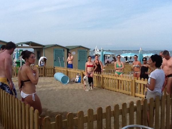 Doggy Beach  - foto 16084.jpg