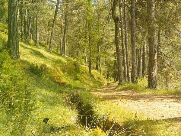 Agriturismo Casa Miramonti  - foto 16354.jpg