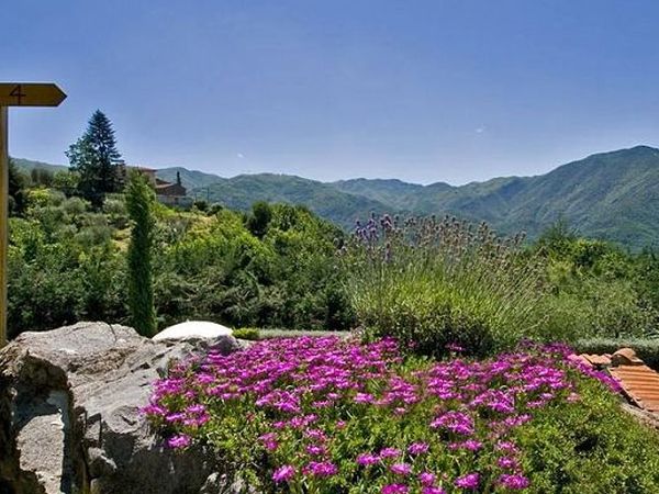 Casetta di Butia - foto 16395.jpg