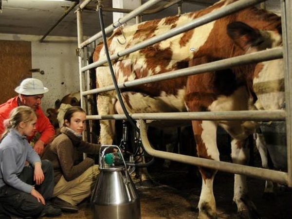 Agriturismo Glinzhof - foto 16433.jpg