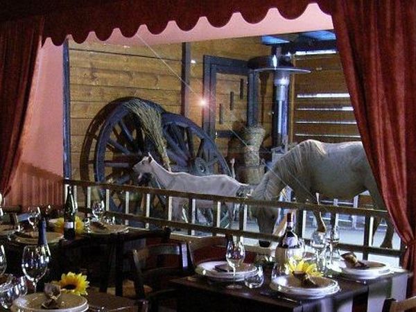 Tenuta del Vecchio Mulino - foto 16463.jpg