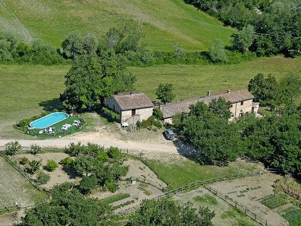 Azienda Agricola Podere Tremulini - foto 16600.jpg