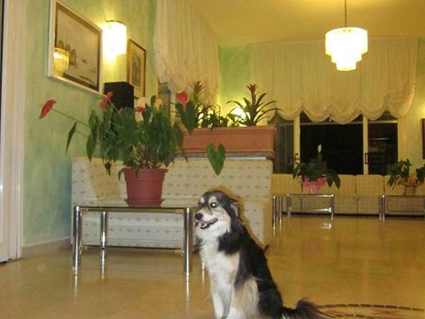 Hotel *** Saint Tropez  - foto 16612.jpg