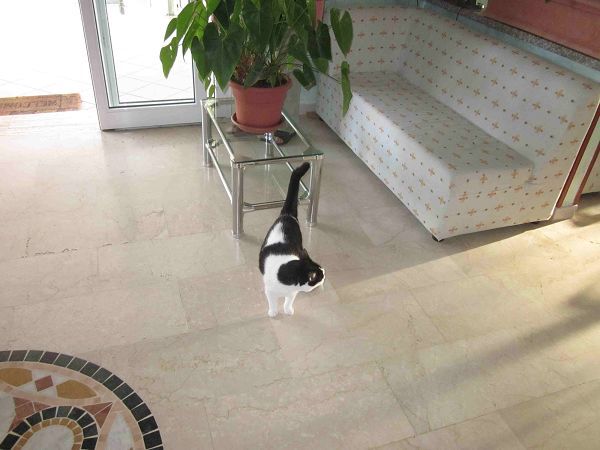 Hotel *** Saint Tropez  - foto 16613.jpg