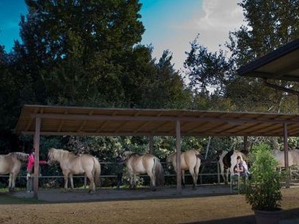  Tenuta Castellare di Tonda - foto 16664.jpg