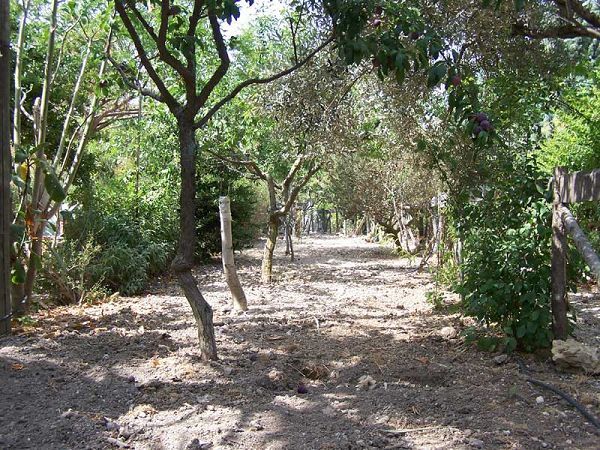 B&B Montesole Holiday - foto 4005.jpg