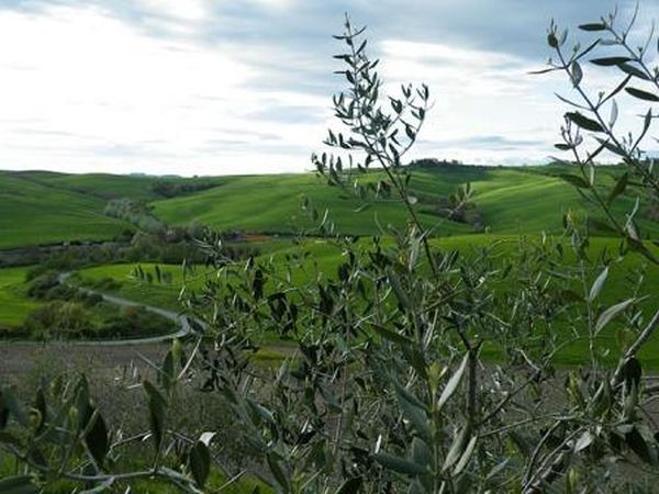 Agriturismo La Mirandola - foto 16980.jpg