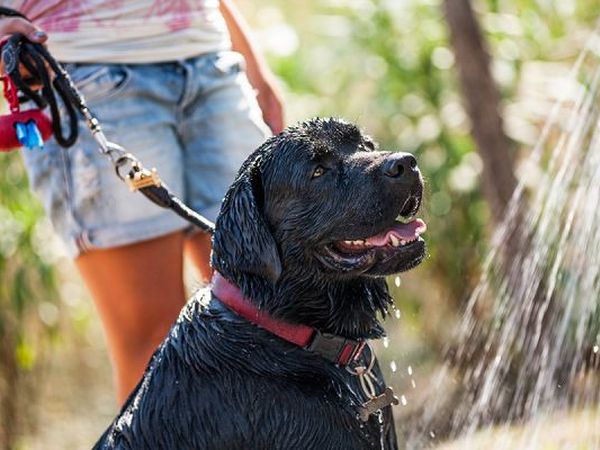 Caravelle Camping Village - foto 17046.jpg