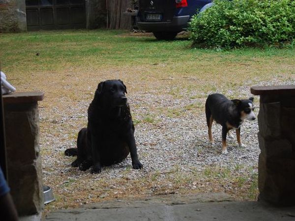 Canto degli Alberti - foto 17147.jpg