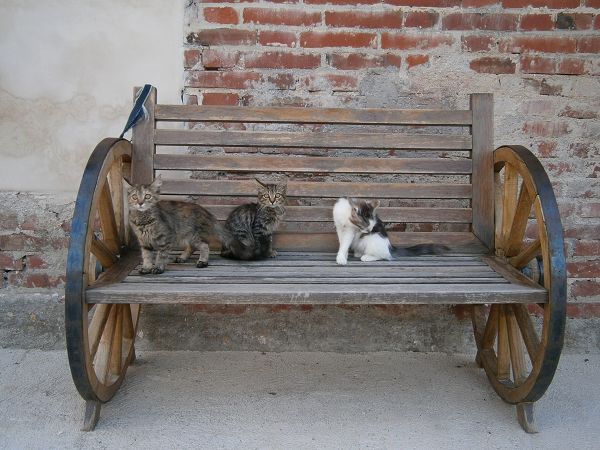 Conero Ranch B&B - foto 17334.jpg