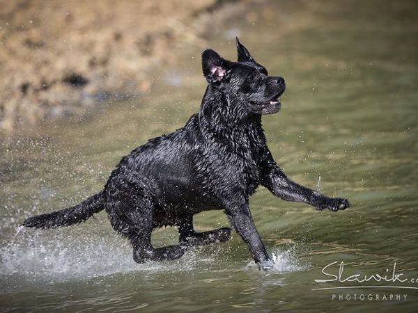  Tenuta Castellare di Tonda - foto 17421.jpg