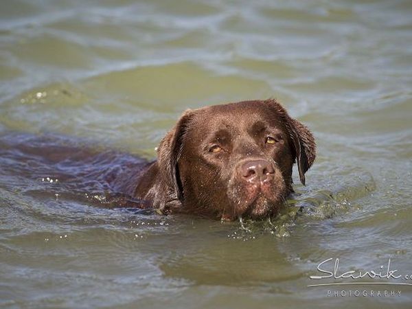  Tenuta Castellare di Tonda - foto 17423.jpg
