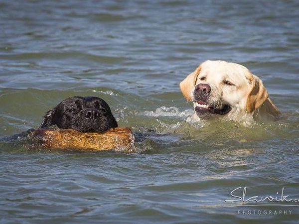  Tenuta Castellare di Tonda - foto 17426.jpg