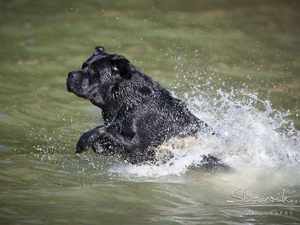  Tenuta Castellare di Tonda - foto 17492.jpg