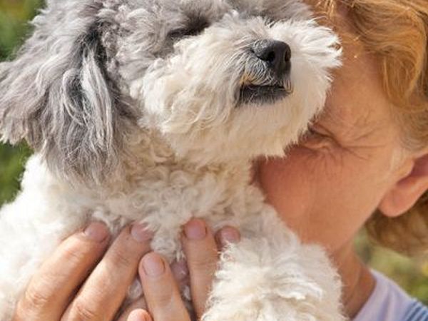 Agriturismo Poggio Diavolino - foto 17570.jpg