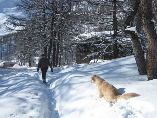 Hotel Chalet Valdotain - foto 17730.jpg