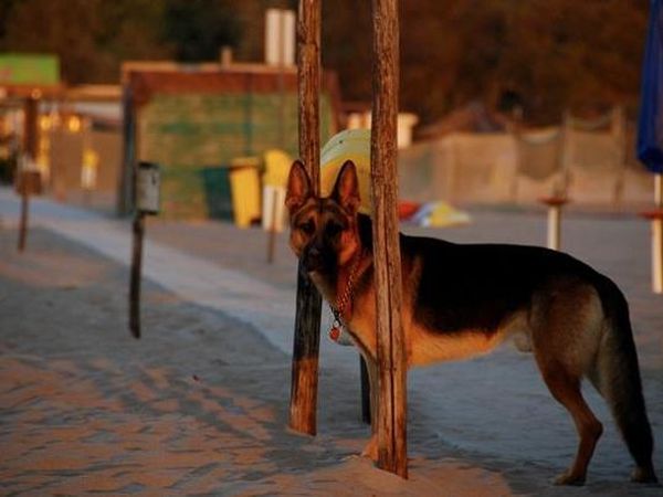 Bagno Trocadero  - foto 17902.jpg