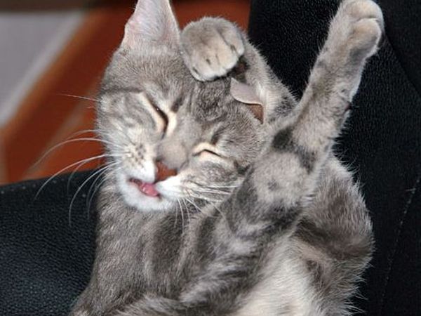 B&B Podere Cerreta - foto 17929.jpg