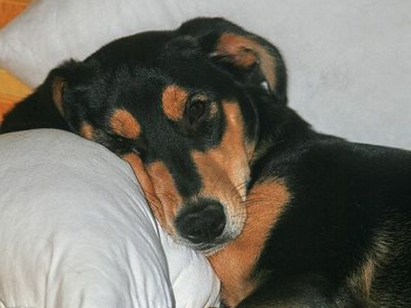 B&B Podere Cerreta - foto 17971.jpg